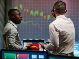 Portfolio Diversification