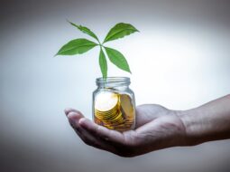 investment management for long-term wealth