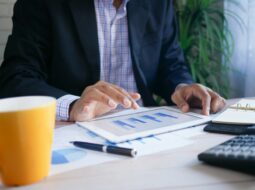 Investment Manager Strategies