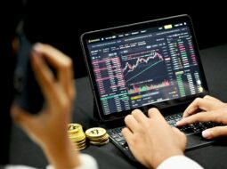 Investment Management